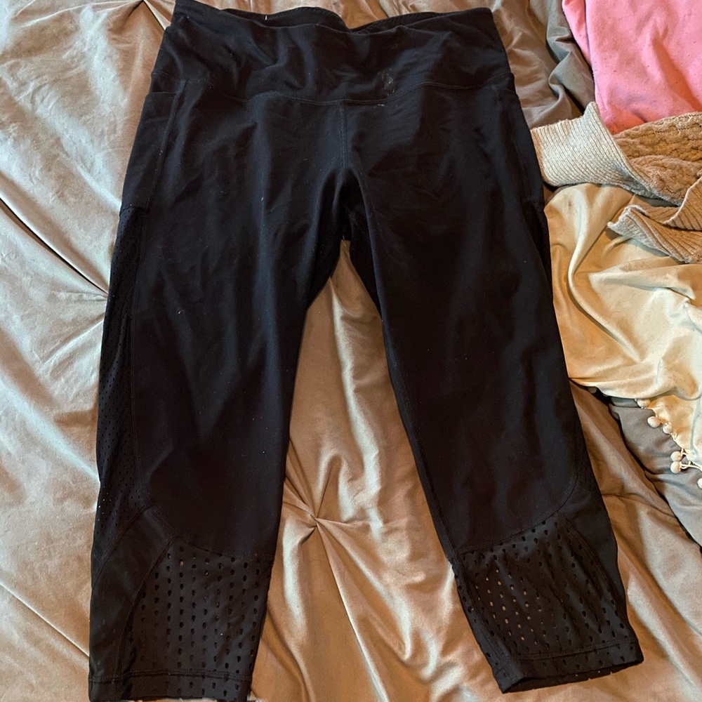 KNOCKOUT CAPRI